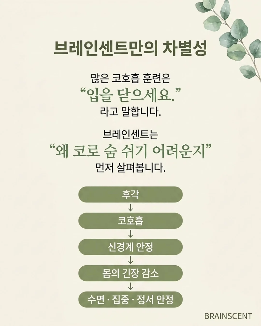 나시 2