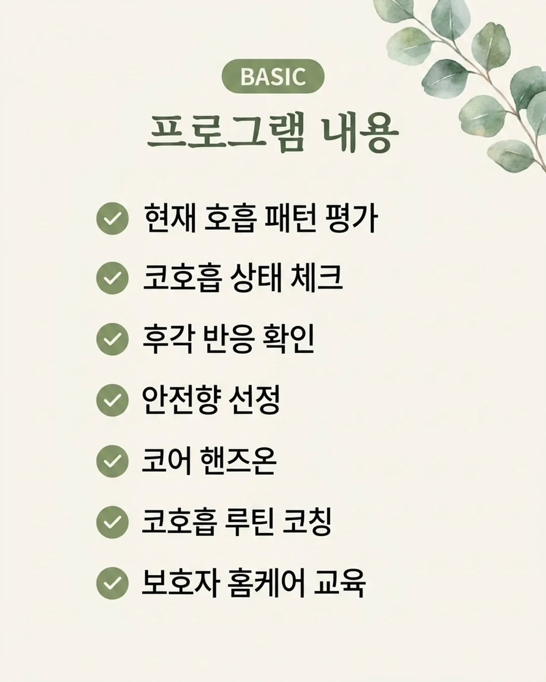 나시 7