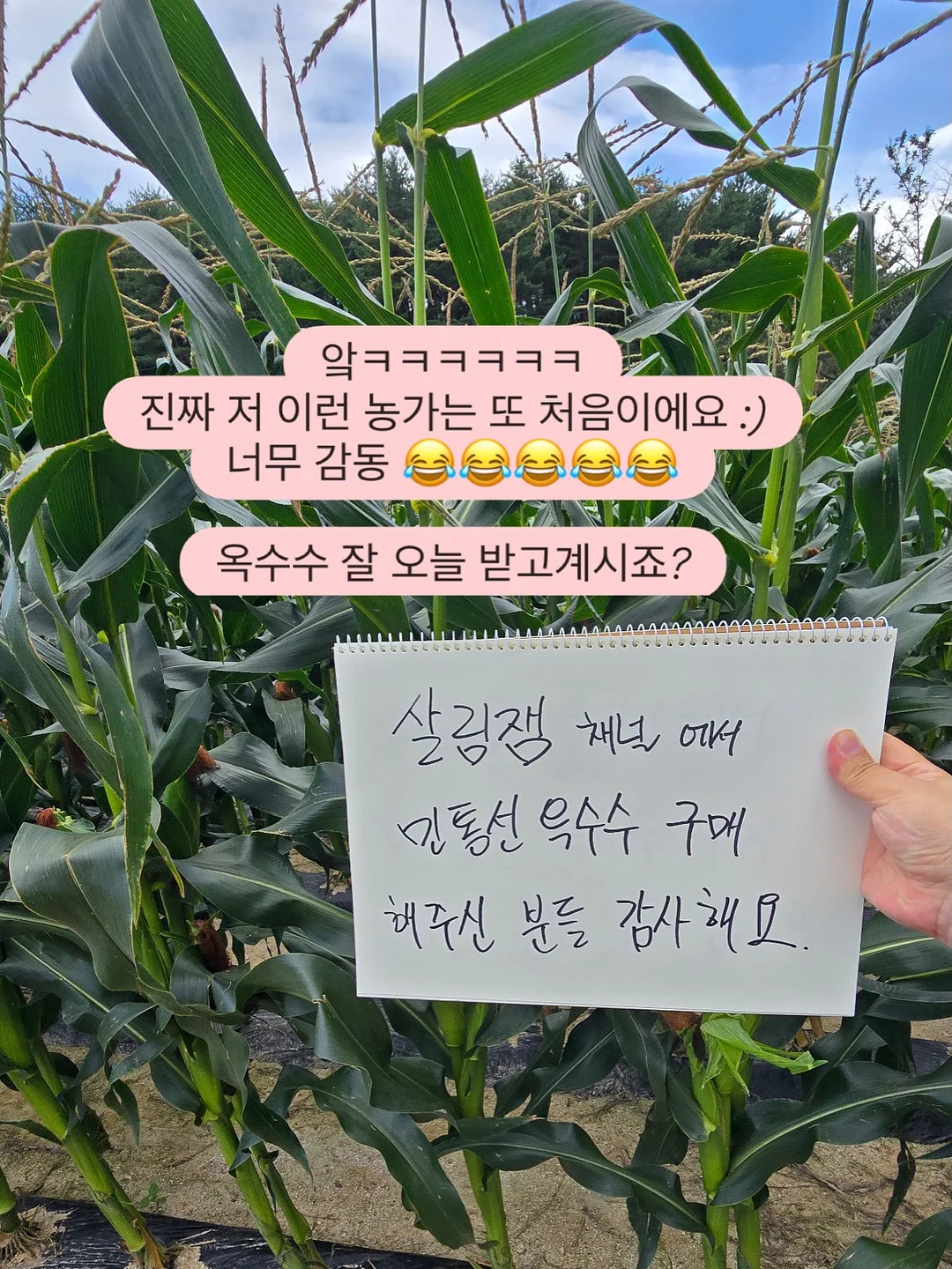 수납꿀템 1