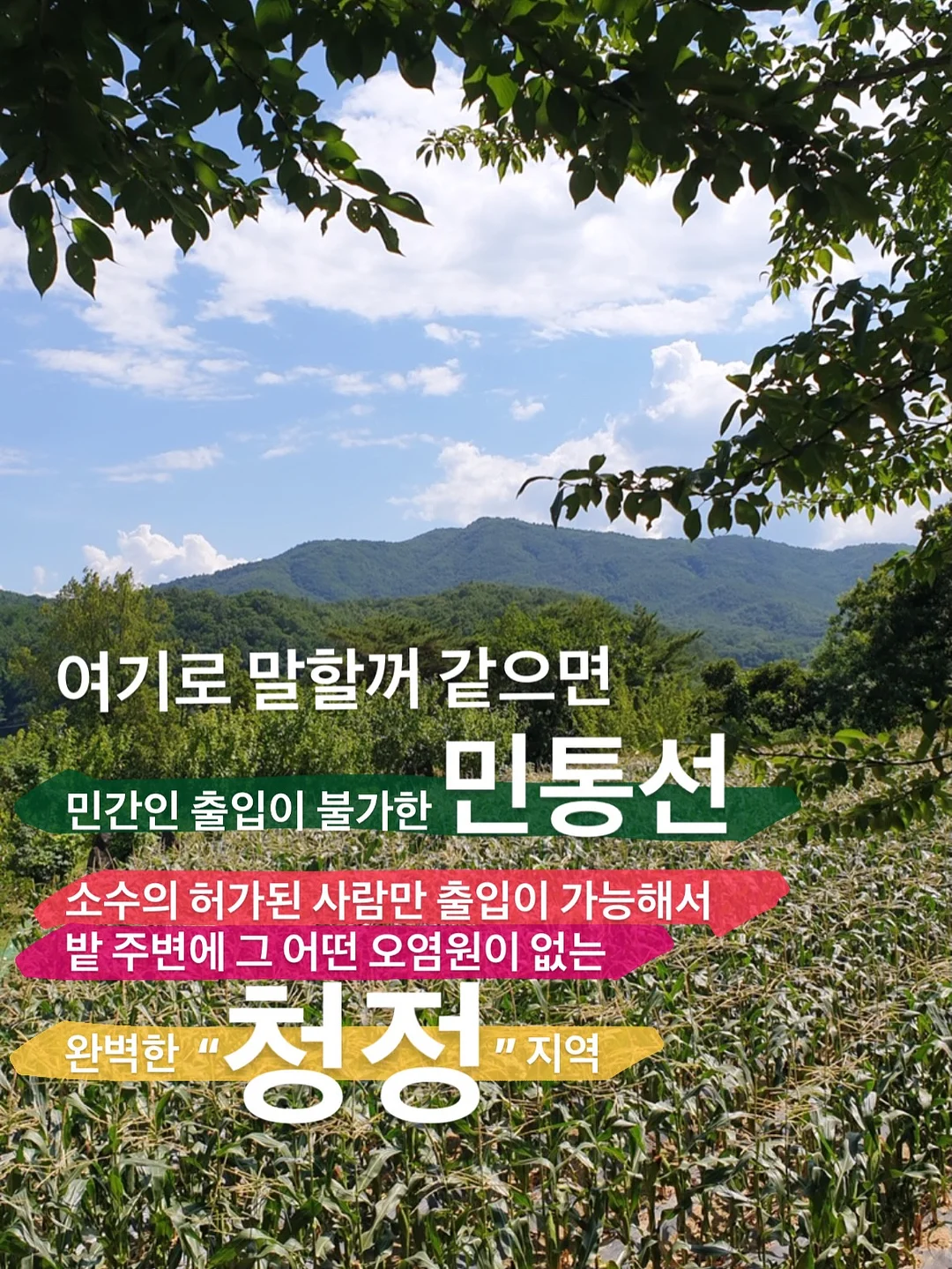 수납꿀템 11