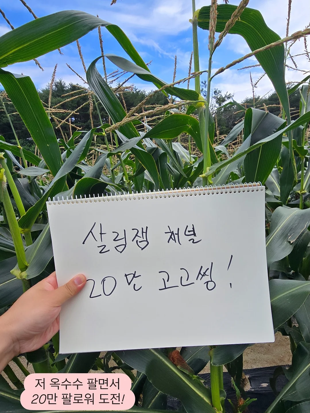 수납꿀템 2