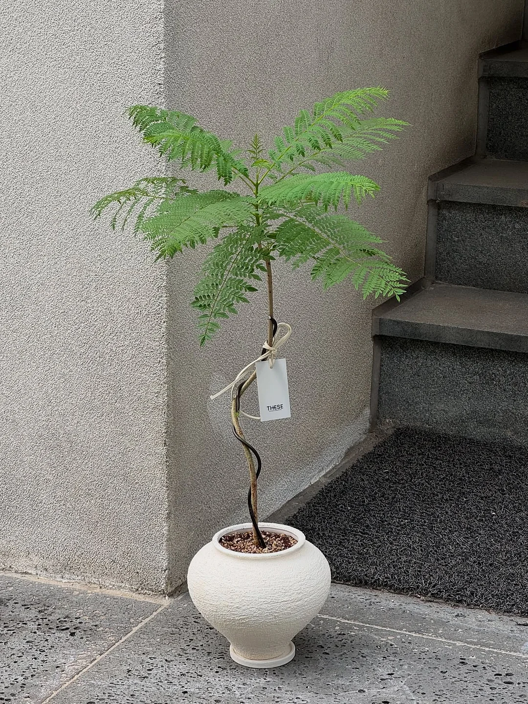 에이프릴이니깐 1