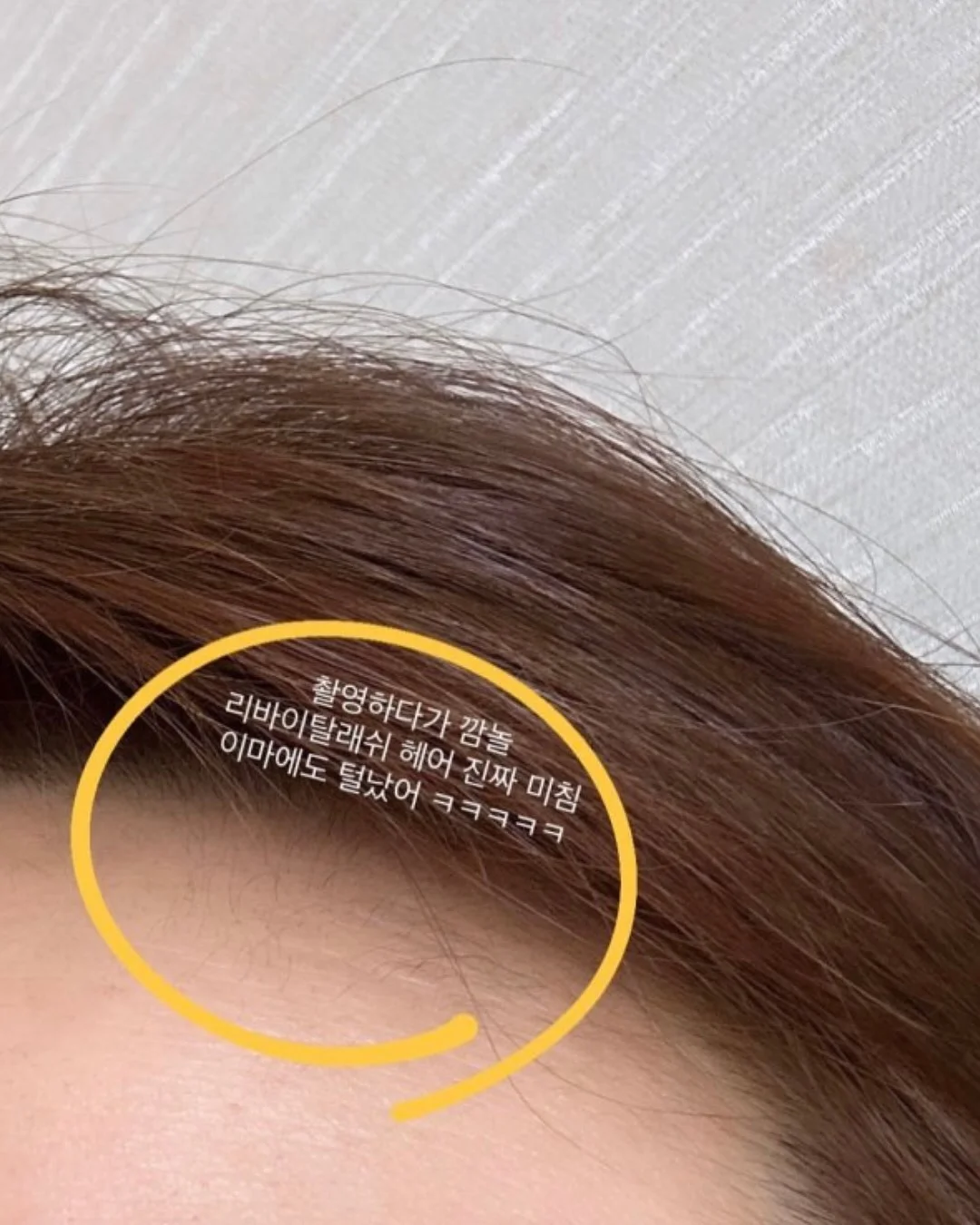 르샤트라 섬유유연제 쁘띠 코튼향 5