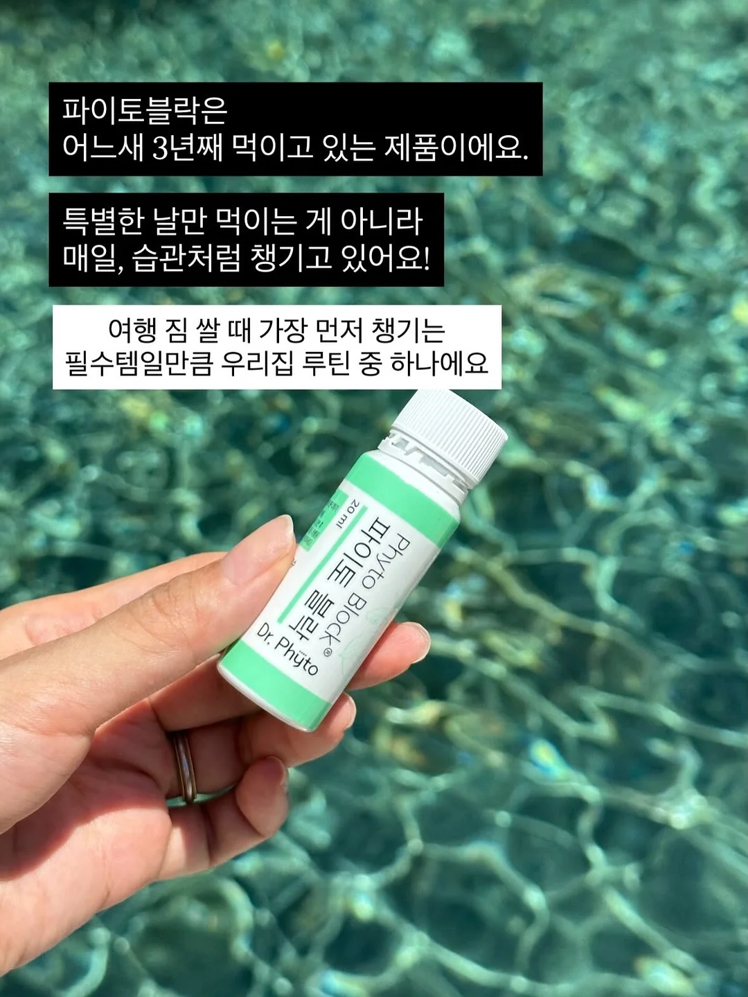 통영 대합조개 3