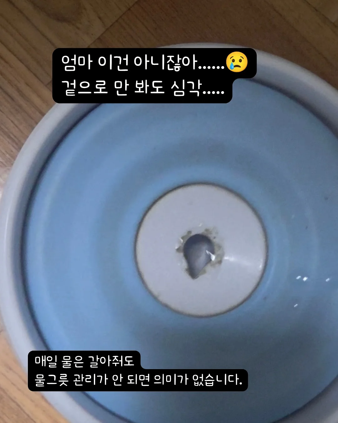 ECLL 메쉬이불 2