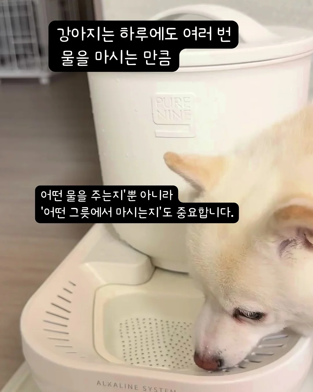 ECLL 메쉬이불 5