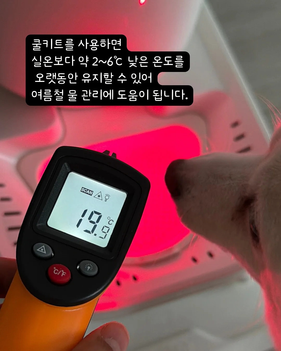 ECLL 메쉬이불 9