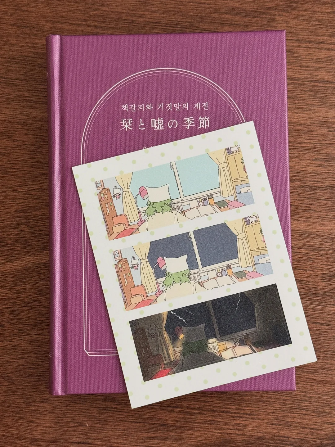 노엘로힐스 선쿠션 8