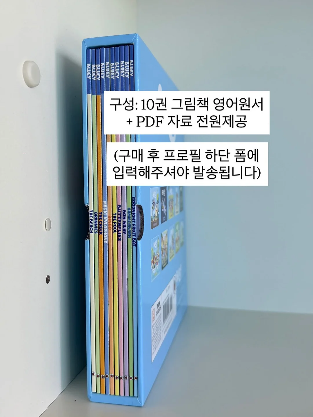 명품몰 창업 2