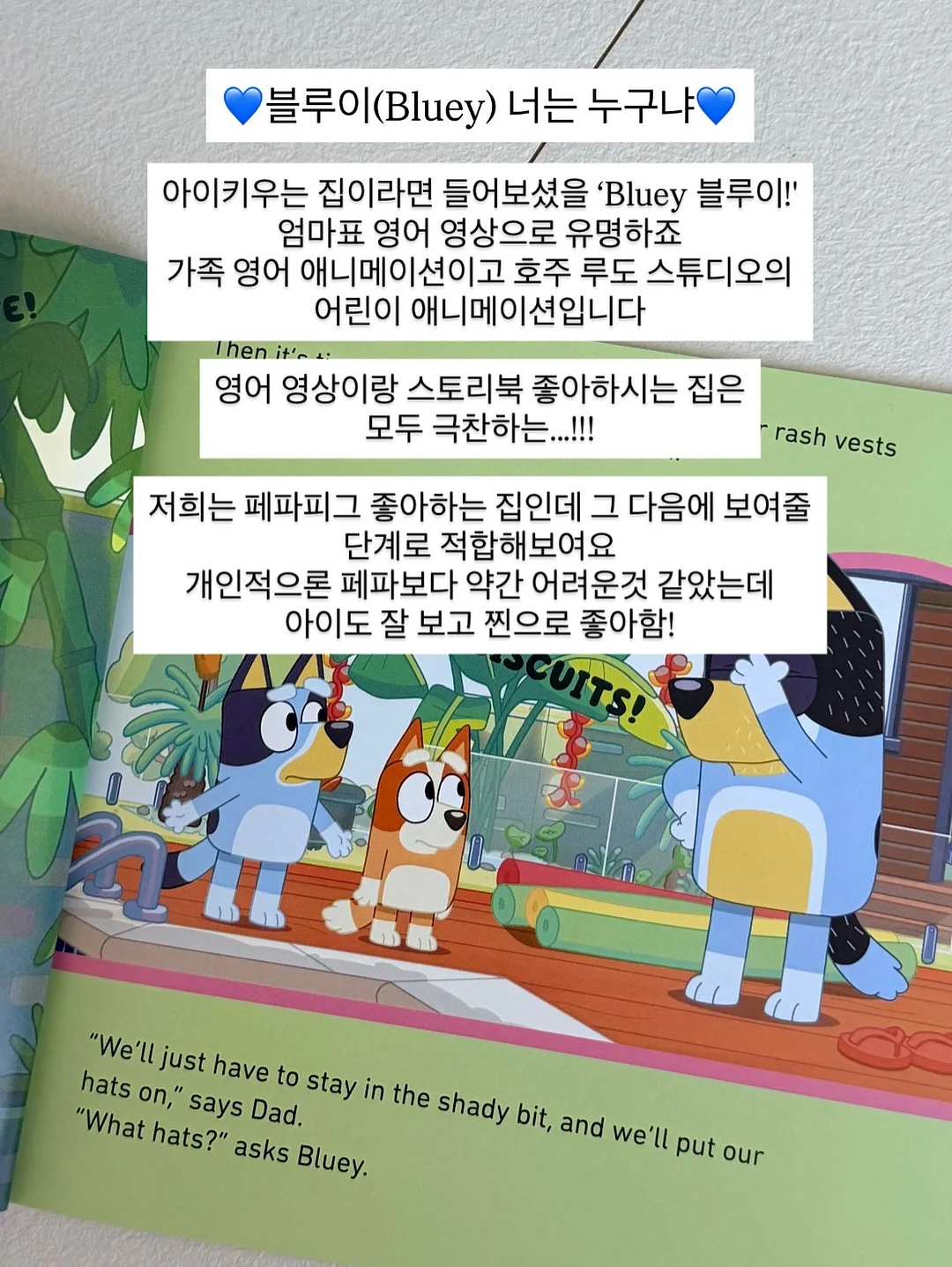 명품몰 창업 5