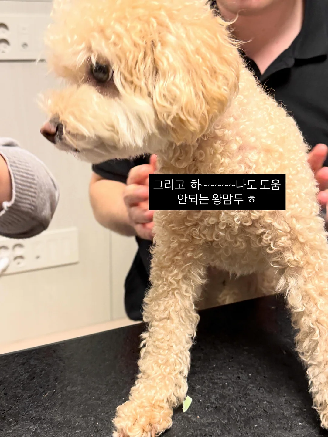누디진주 (포인트3) 8