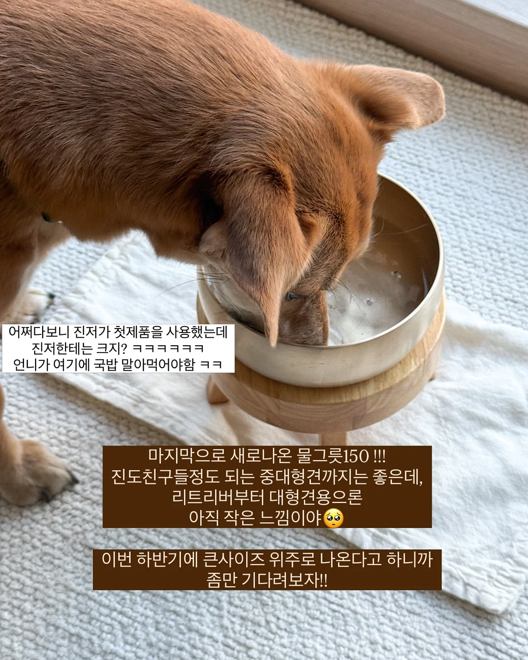 메종키츠네 카라 반팔티 20