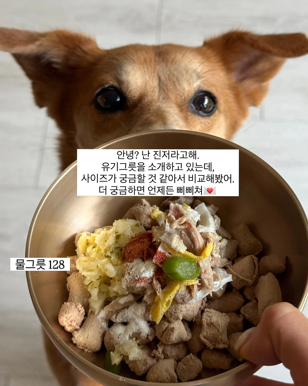 메종키츠네 카라 반팔티 2