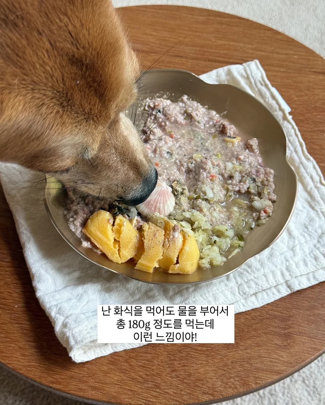 메종키츠네 카라 반팔티 4