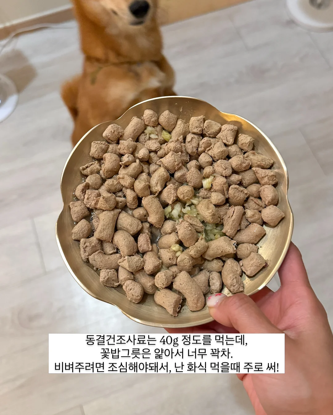 메종키츠네 카라 반팔티 5