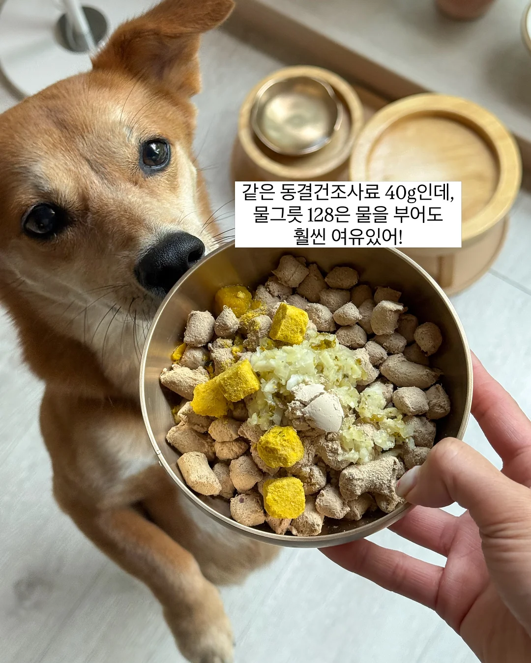 메종키츠네 카라 반팔티 6