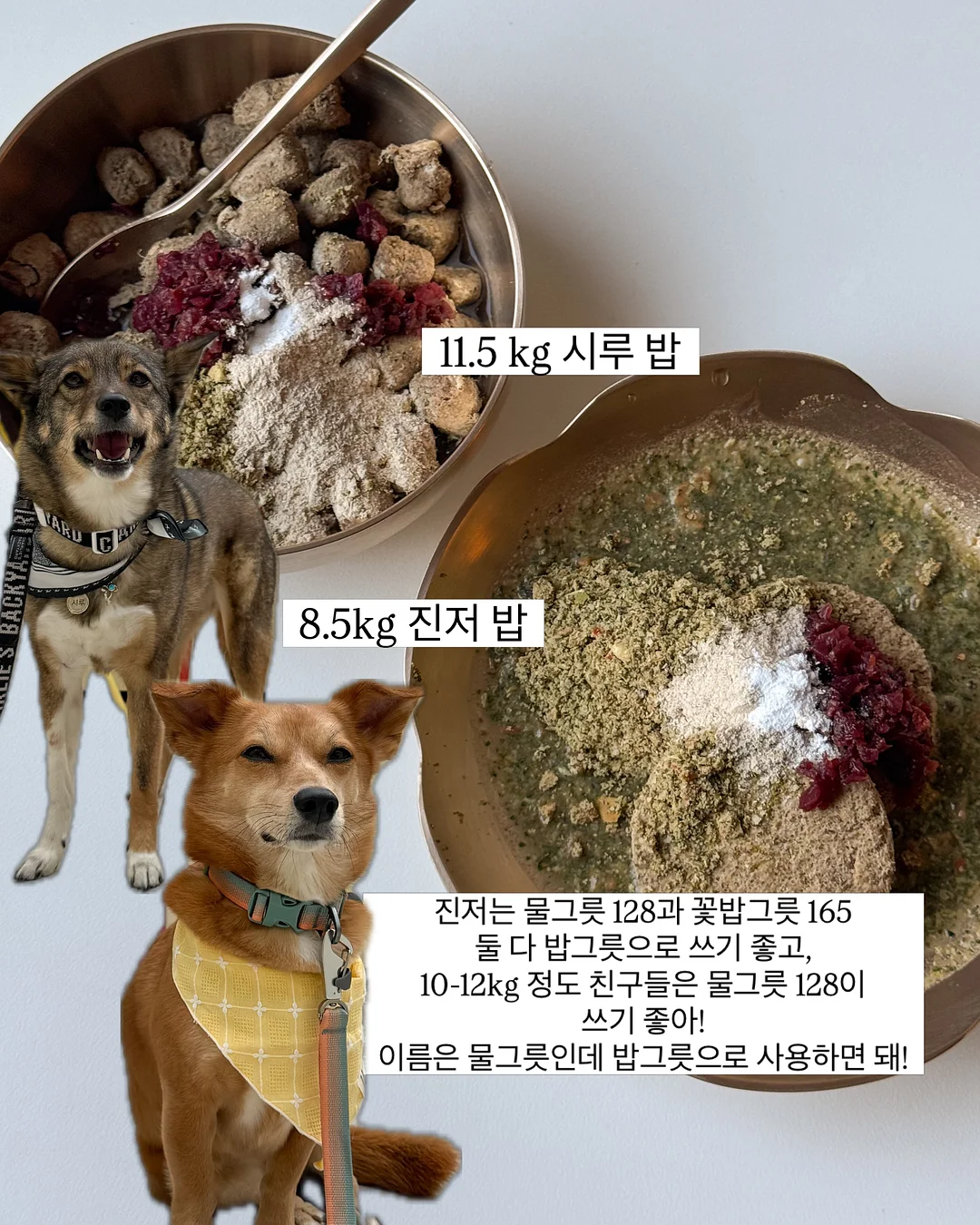 메종키츠네 카라 반팔티 7