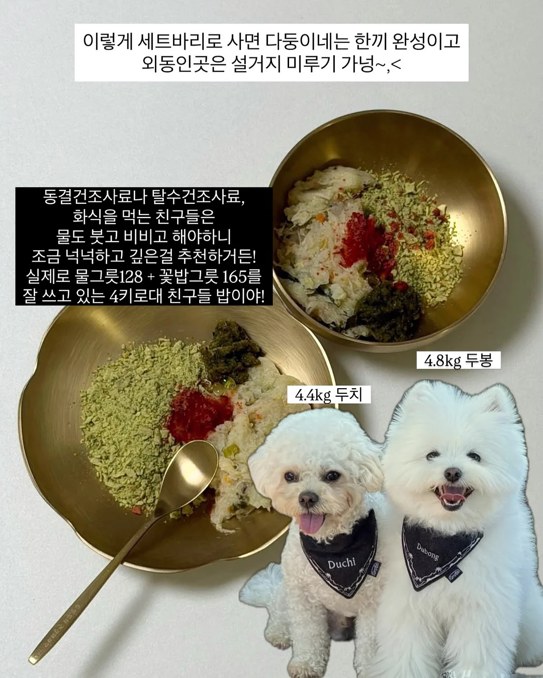 메종키츠네 카라 반팔티 8