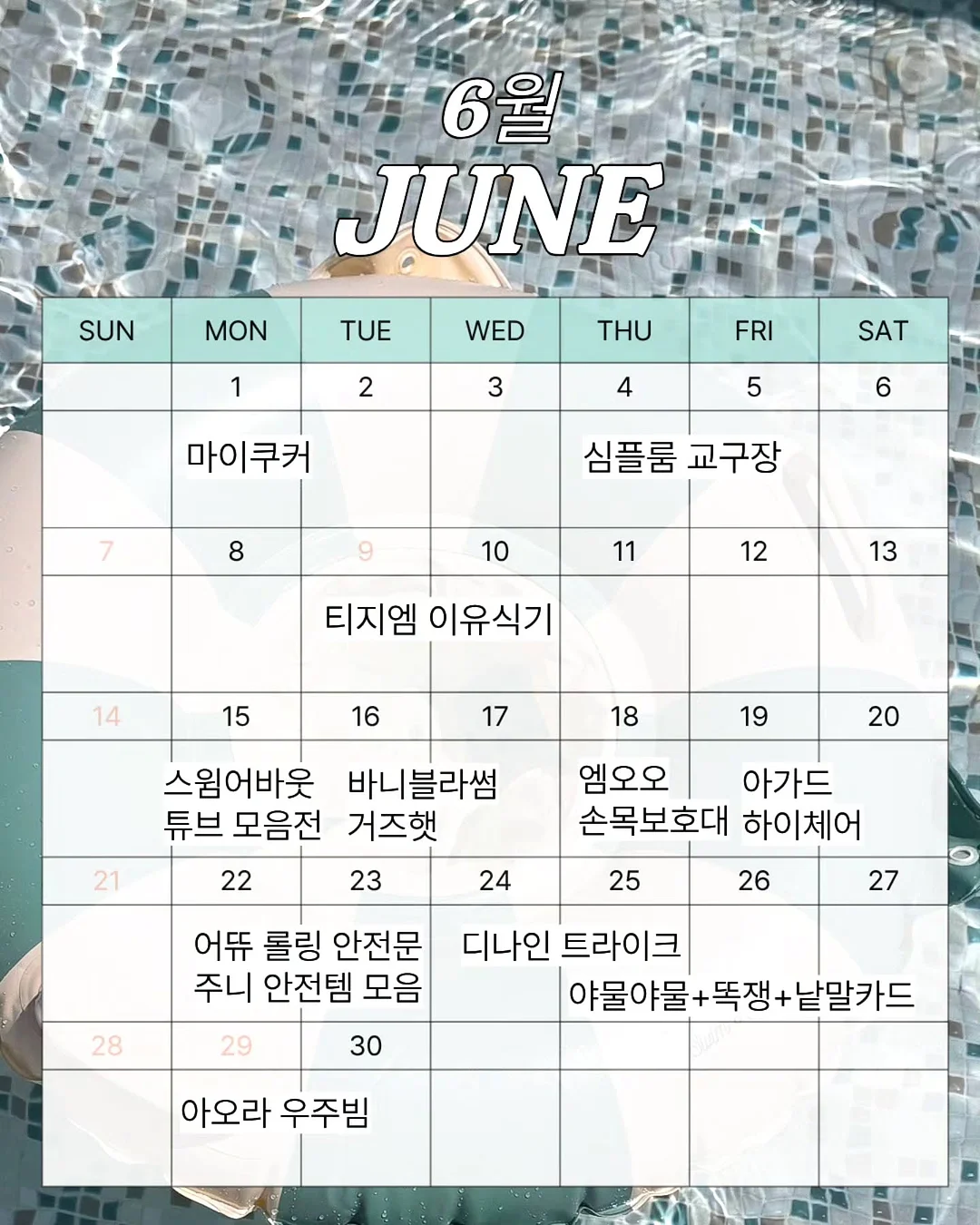 제주 친환경 무농약 블루베리 1