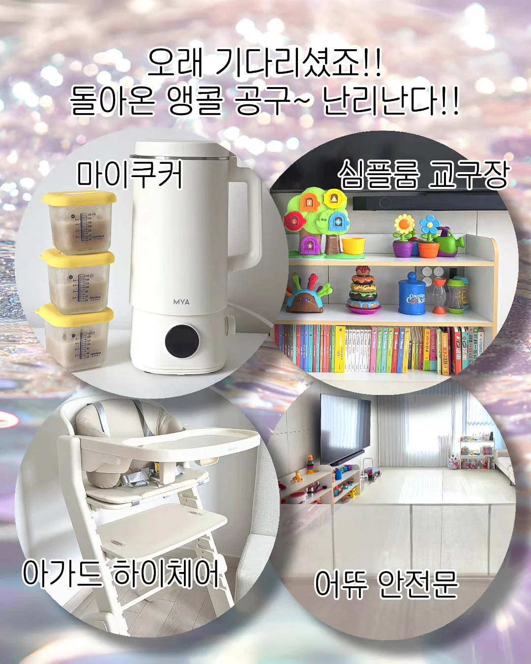 제주 친환경 무농약 블루베리 2
