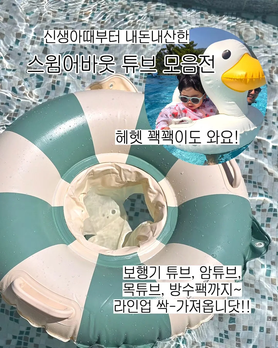 제주 친환경 무농약 블루베리 4