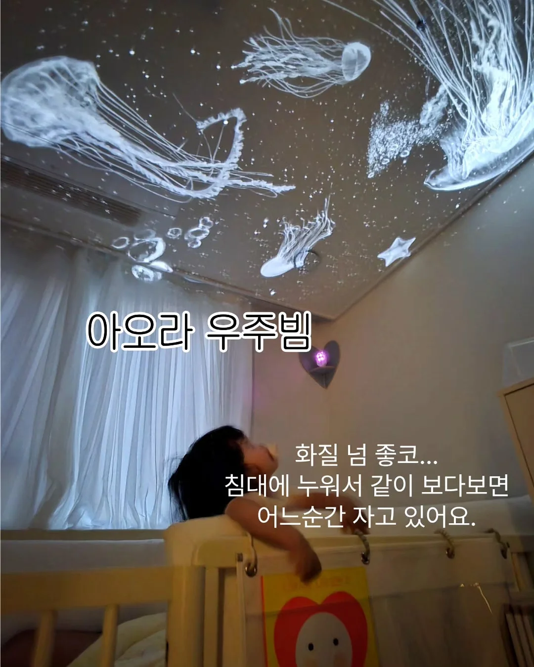 제주 친환경 무농약 블루베리 9