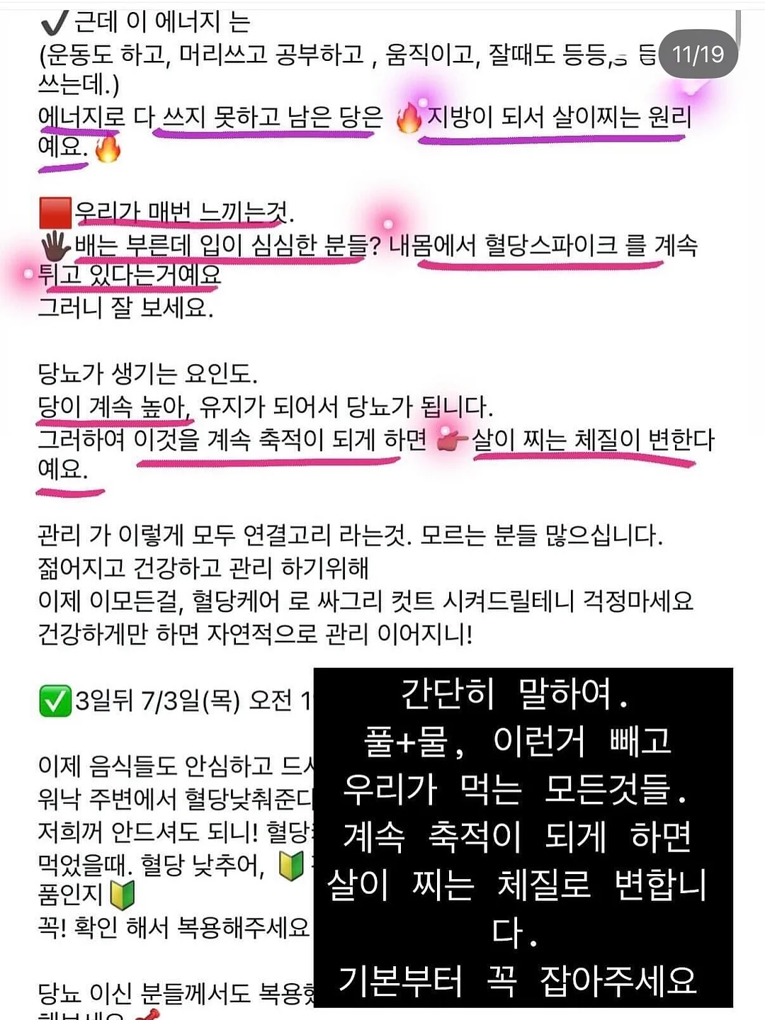 허그롤 13