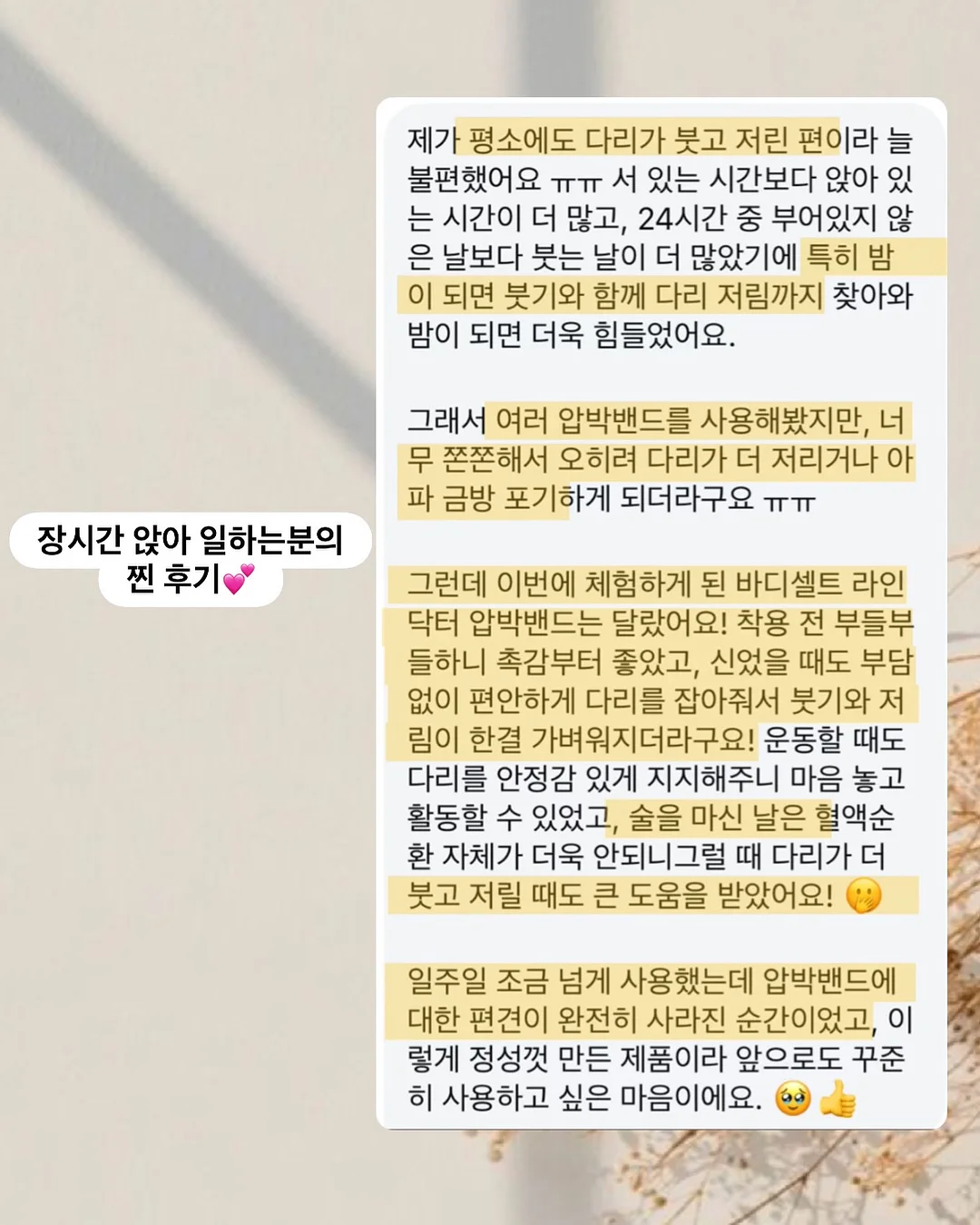 비비바지 14