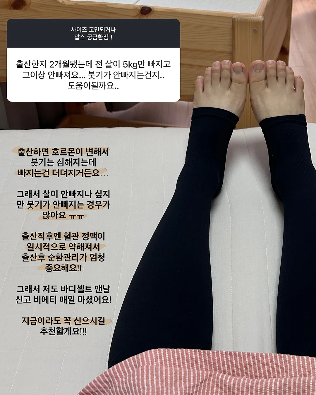비비바지 5