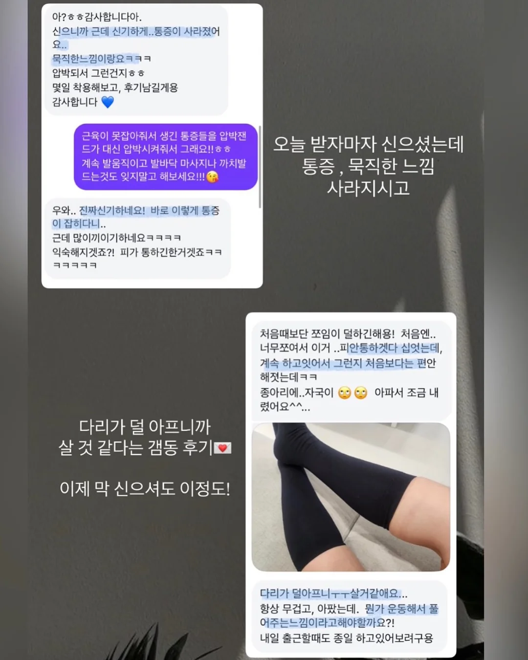 비비바지 9