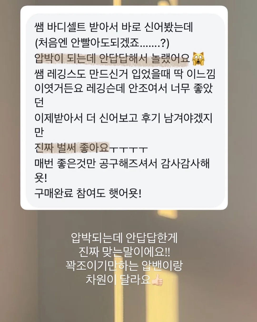 비비바지 10