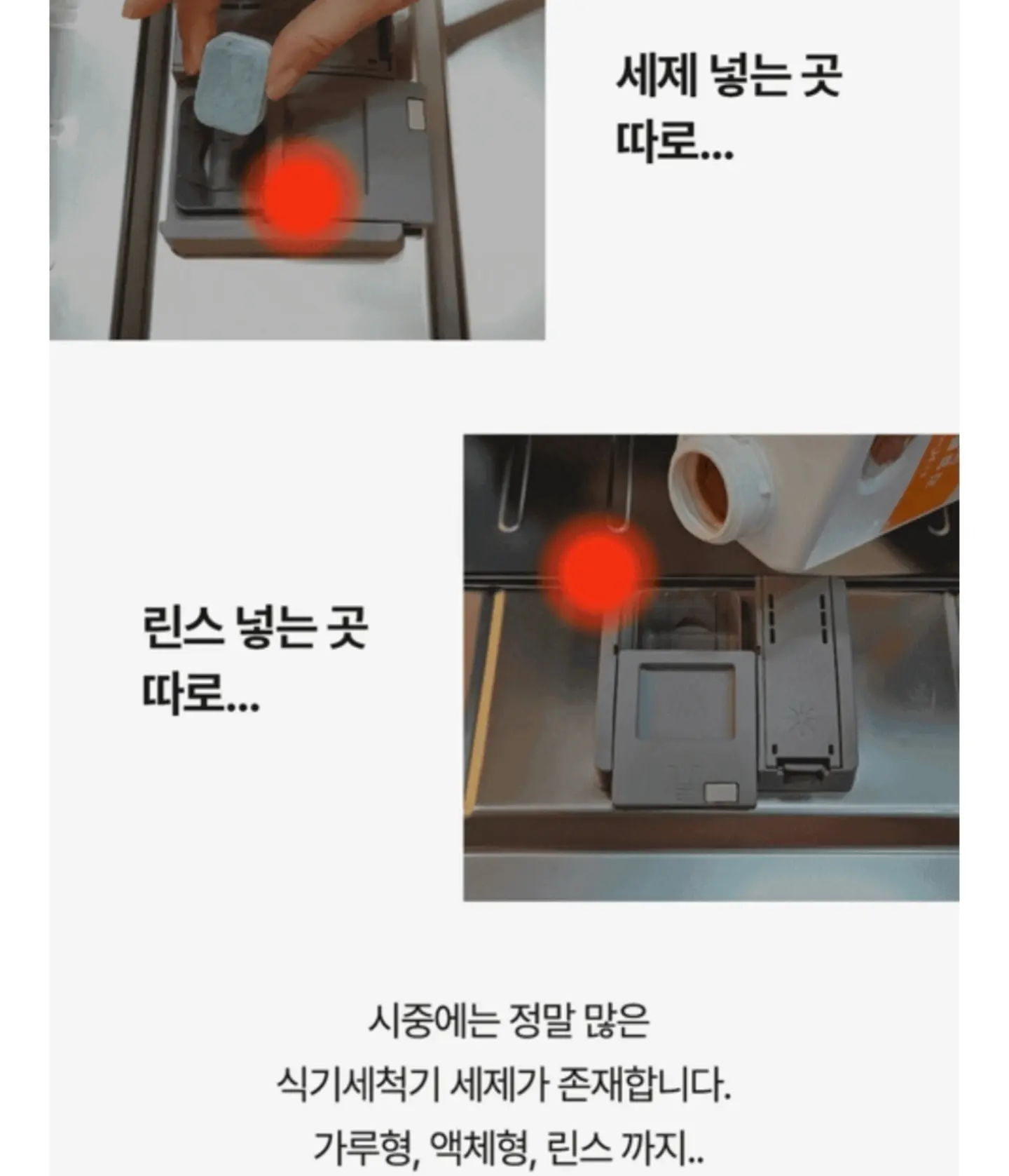 베이프 스투시 콜라보 티셔츠 7