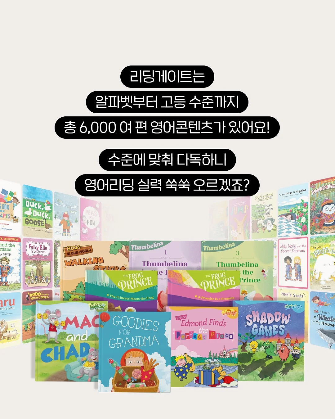 코체비예 4