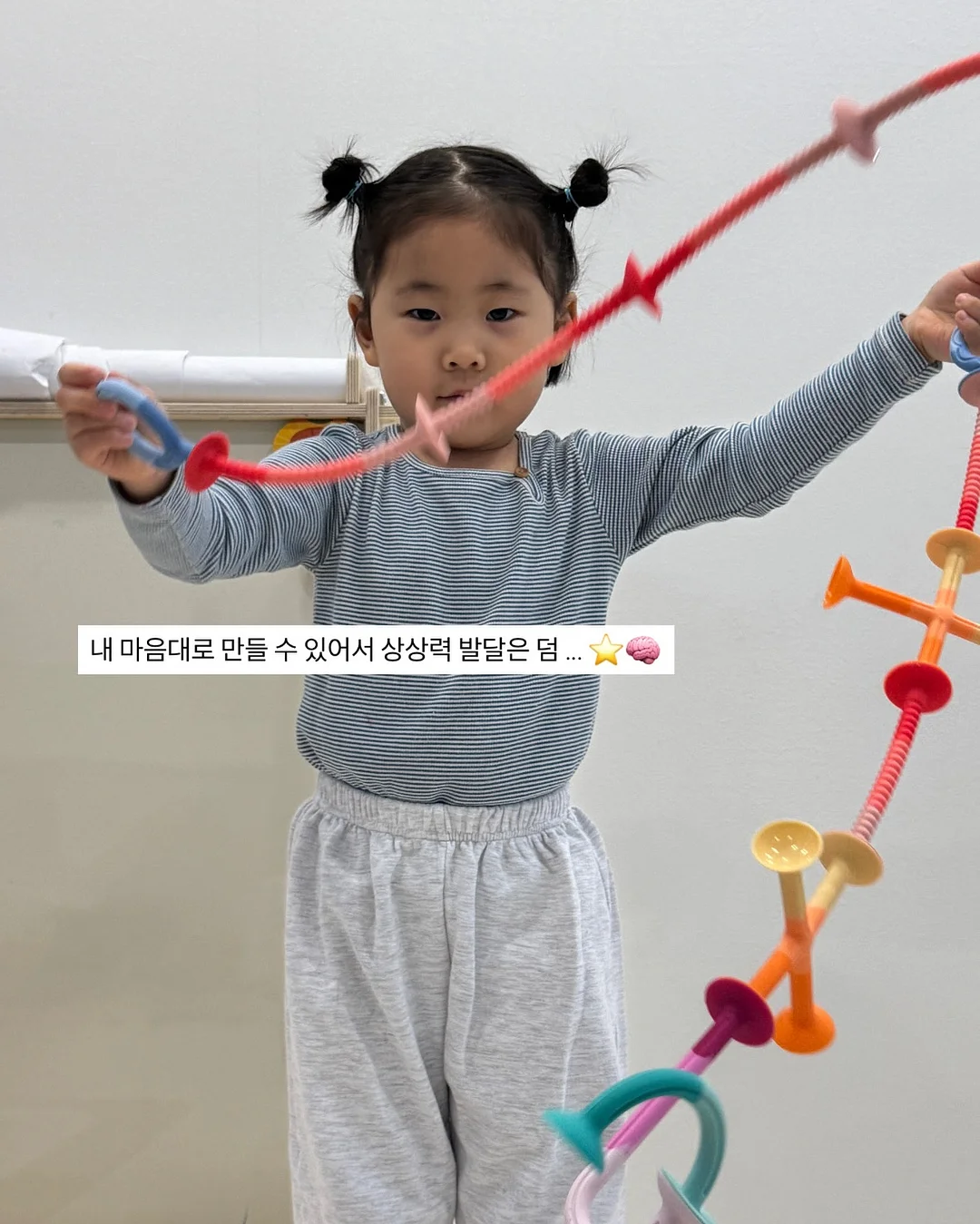 올키 앰버서더 5