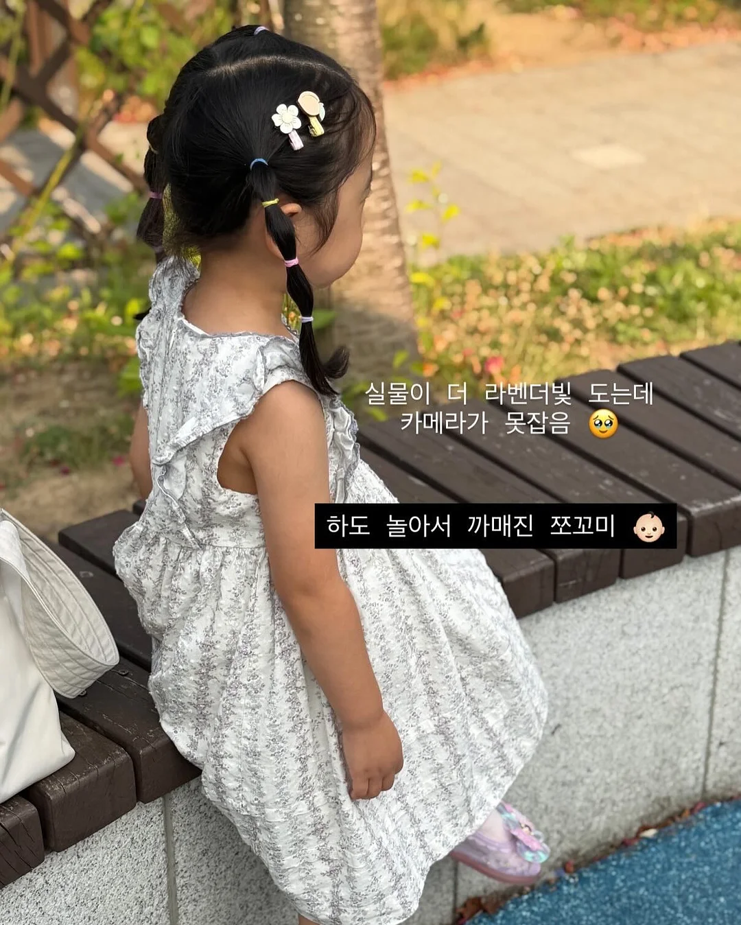 롤팬 3