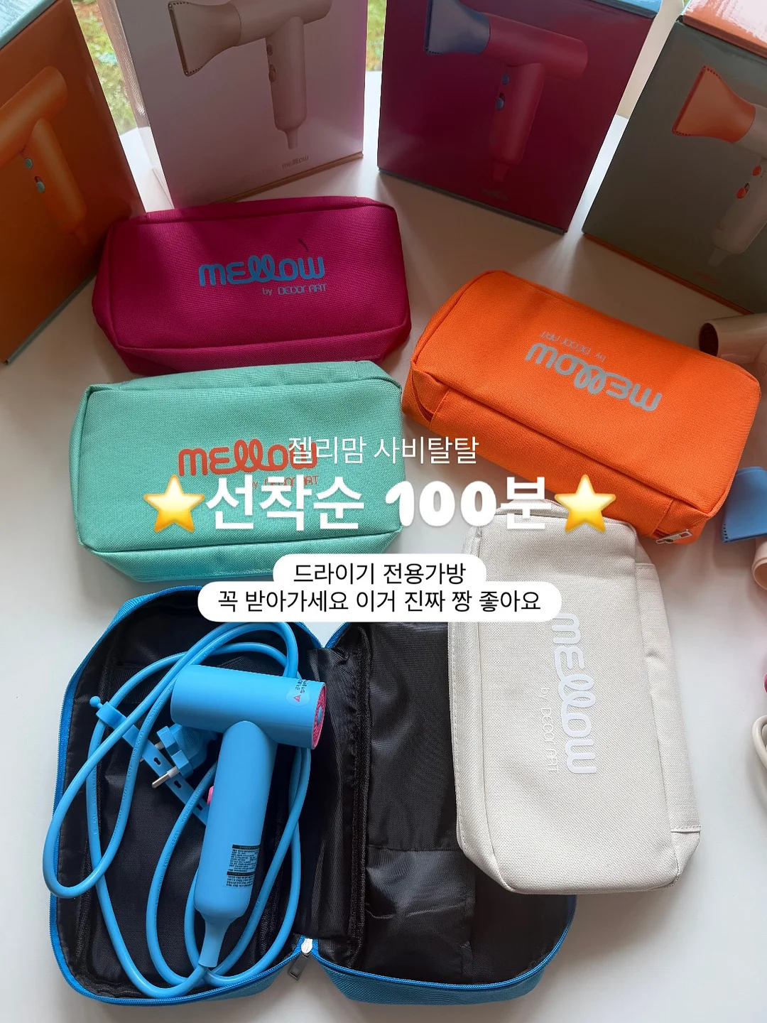 피크닉 세트 대여 4