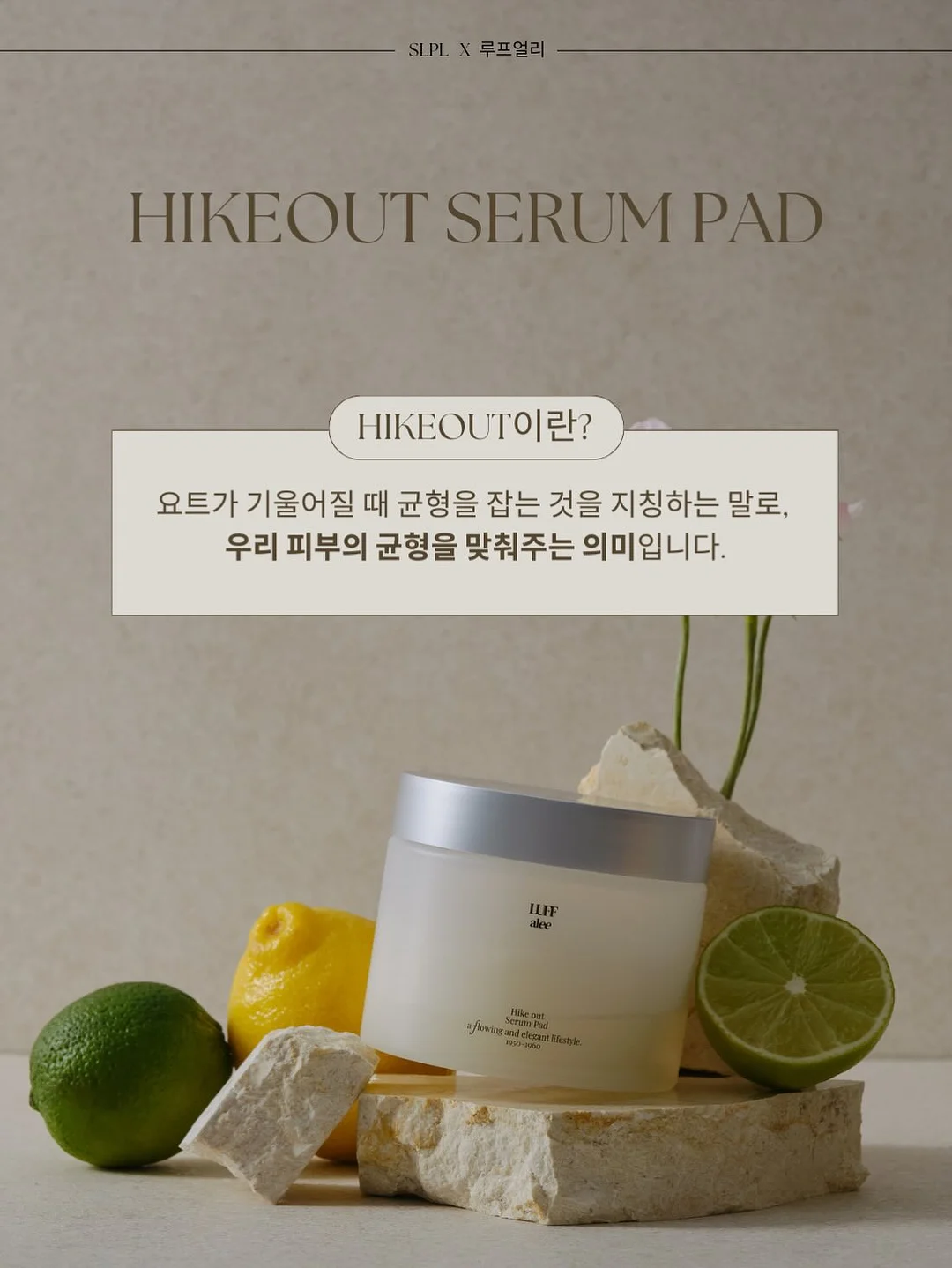 데일리 백 4