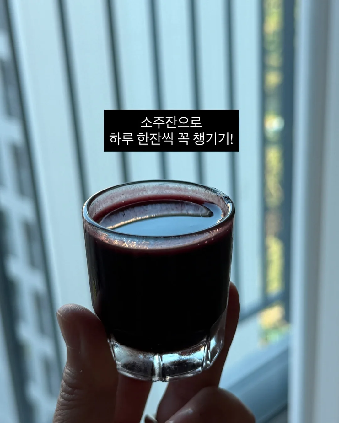 롯데캐슬 더블역세권 신축 9