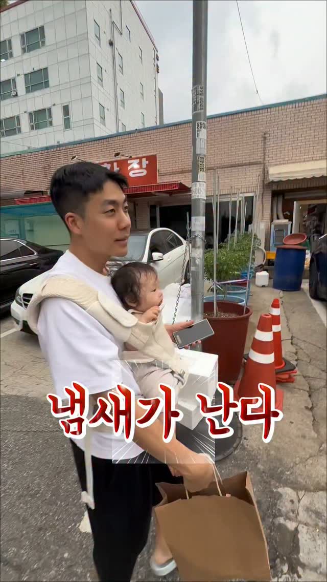 이케아 홀메루드
