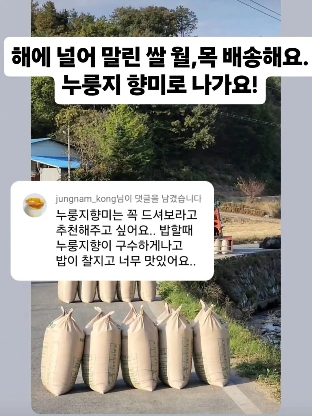 설명회 2