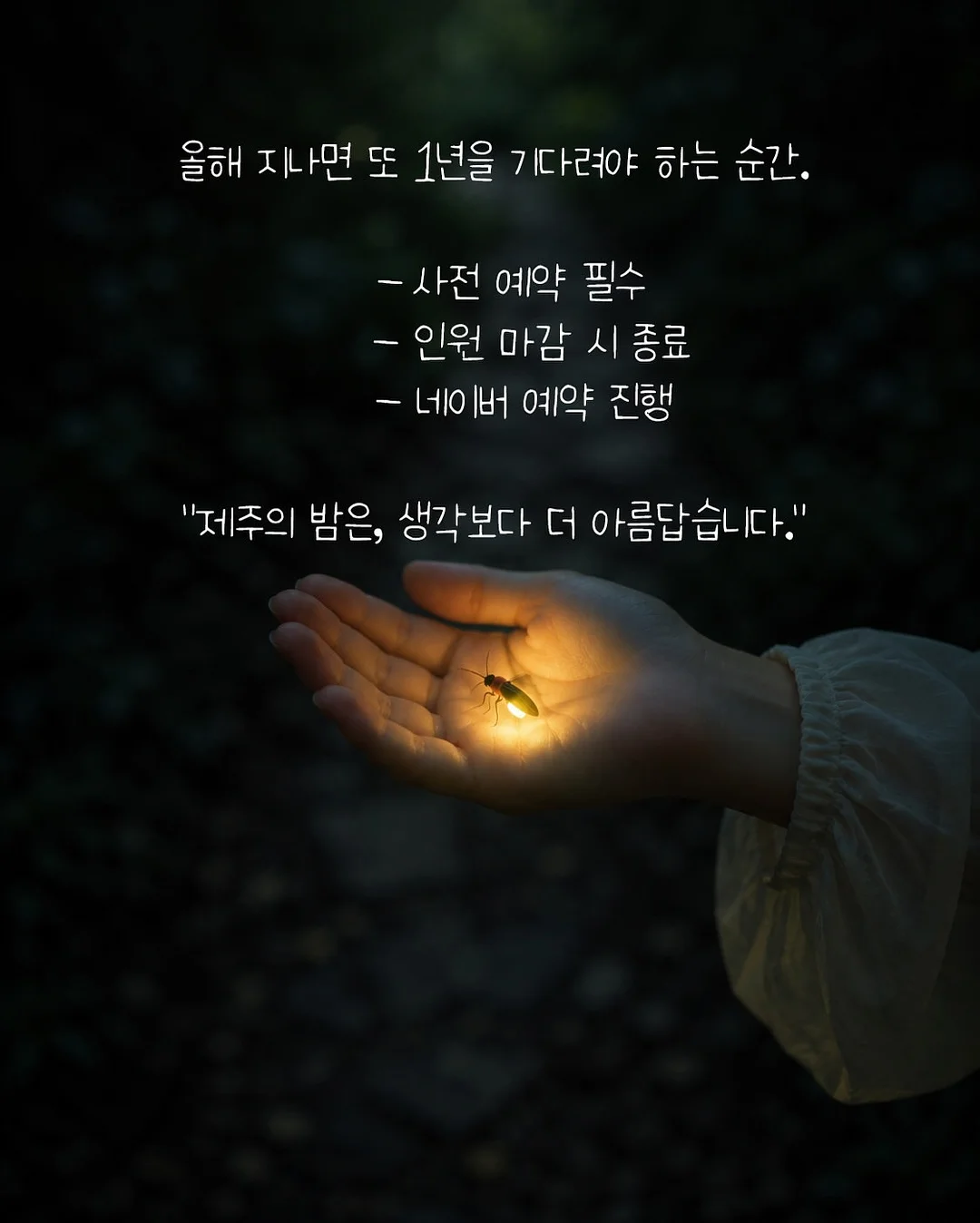 세상에서 가장 좋은 문장 필사 4