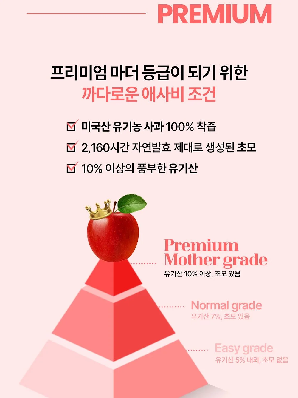 레노바 핑크로션 티슈 11