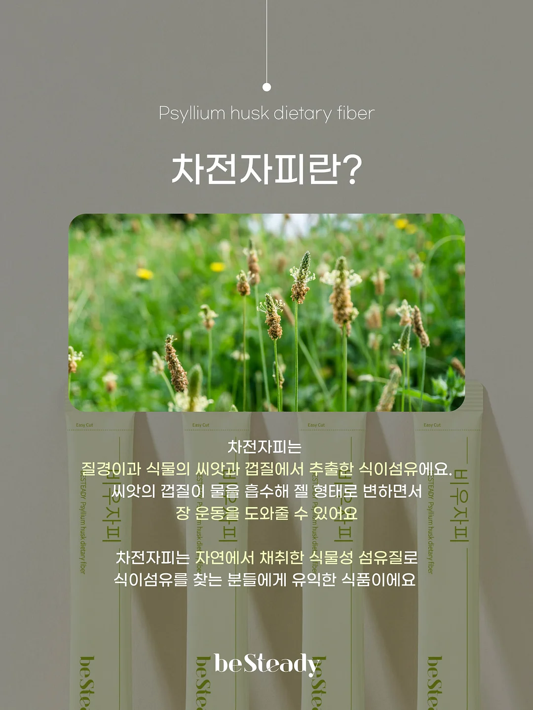 공신폰 8