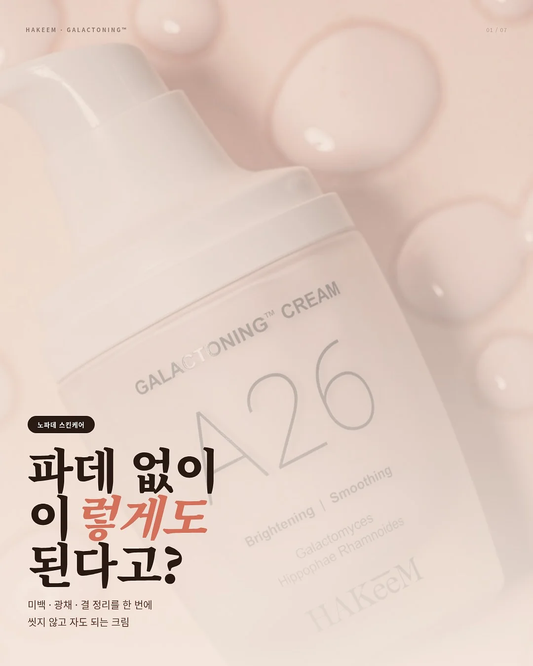 메종드미 에끌라 레이스 컬렉션 1