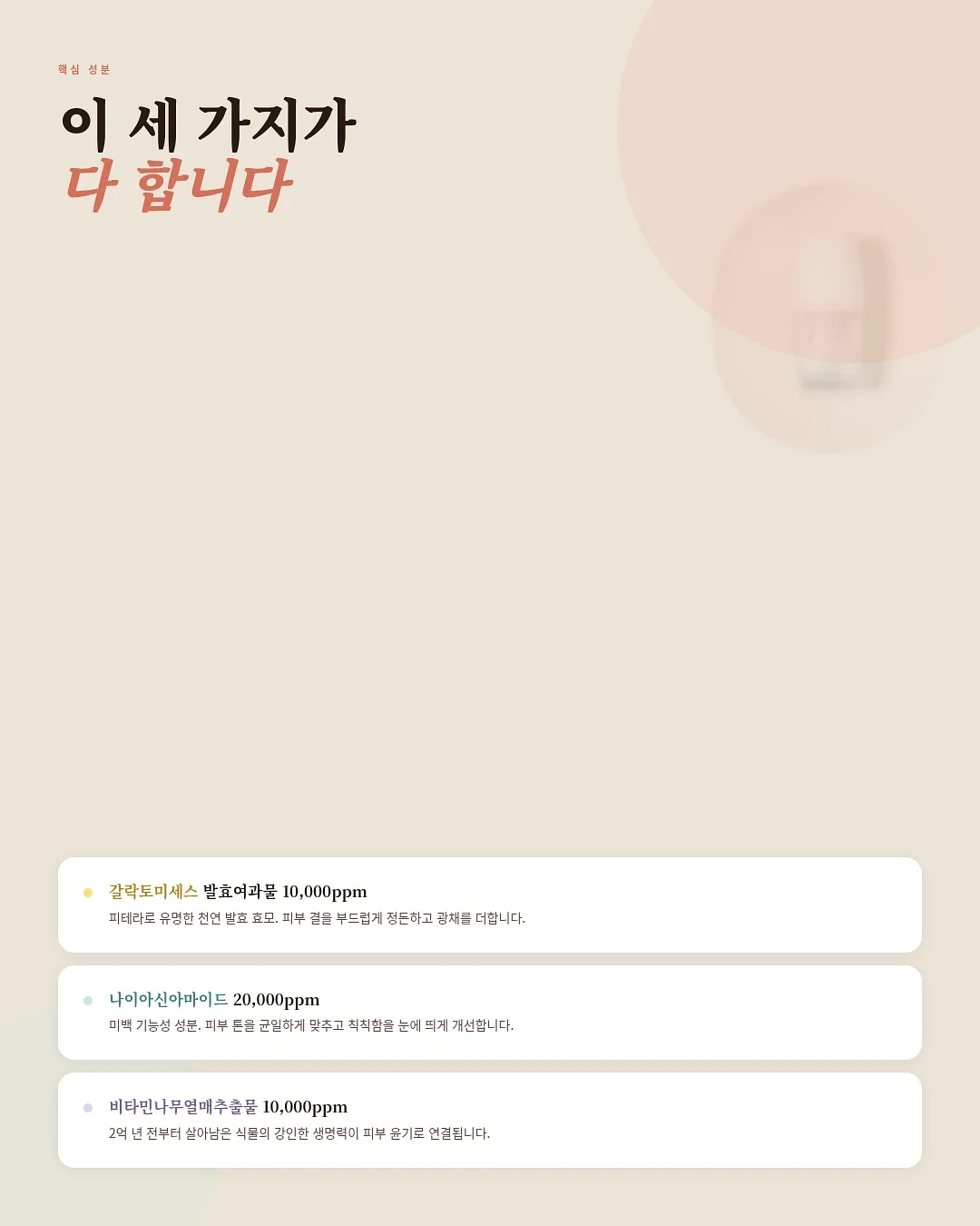메종드미 에끌라 레이스 컬렉션 3