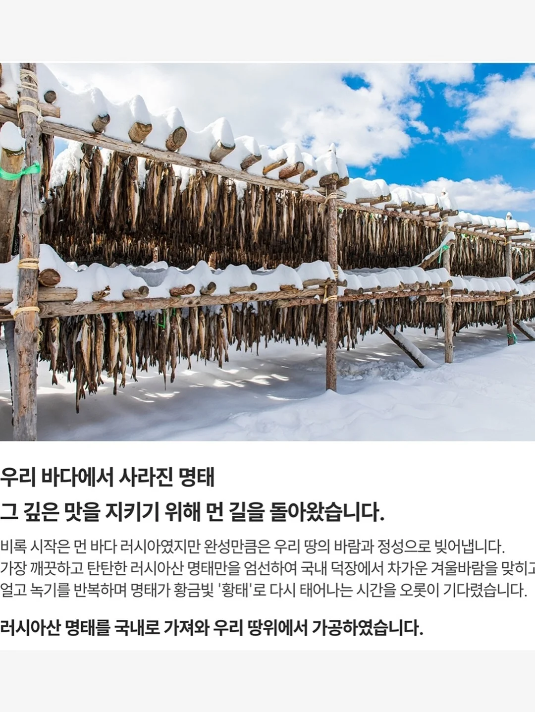 원터치 밀대 14