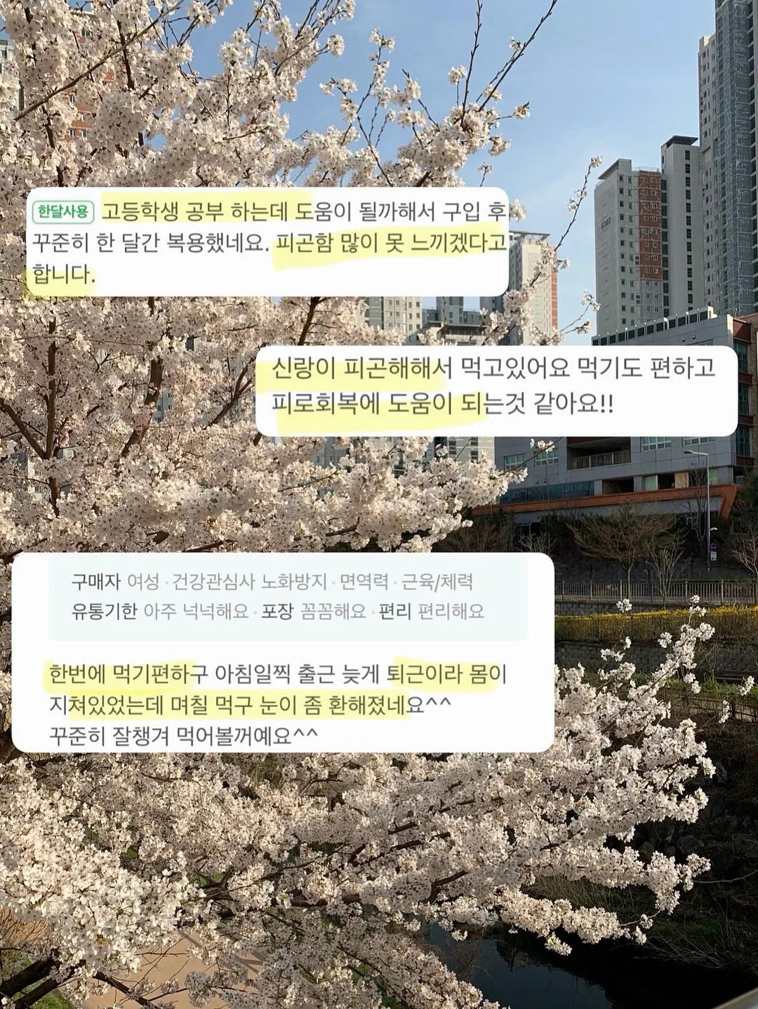 수아르 핑크 잠자리셔츠 5