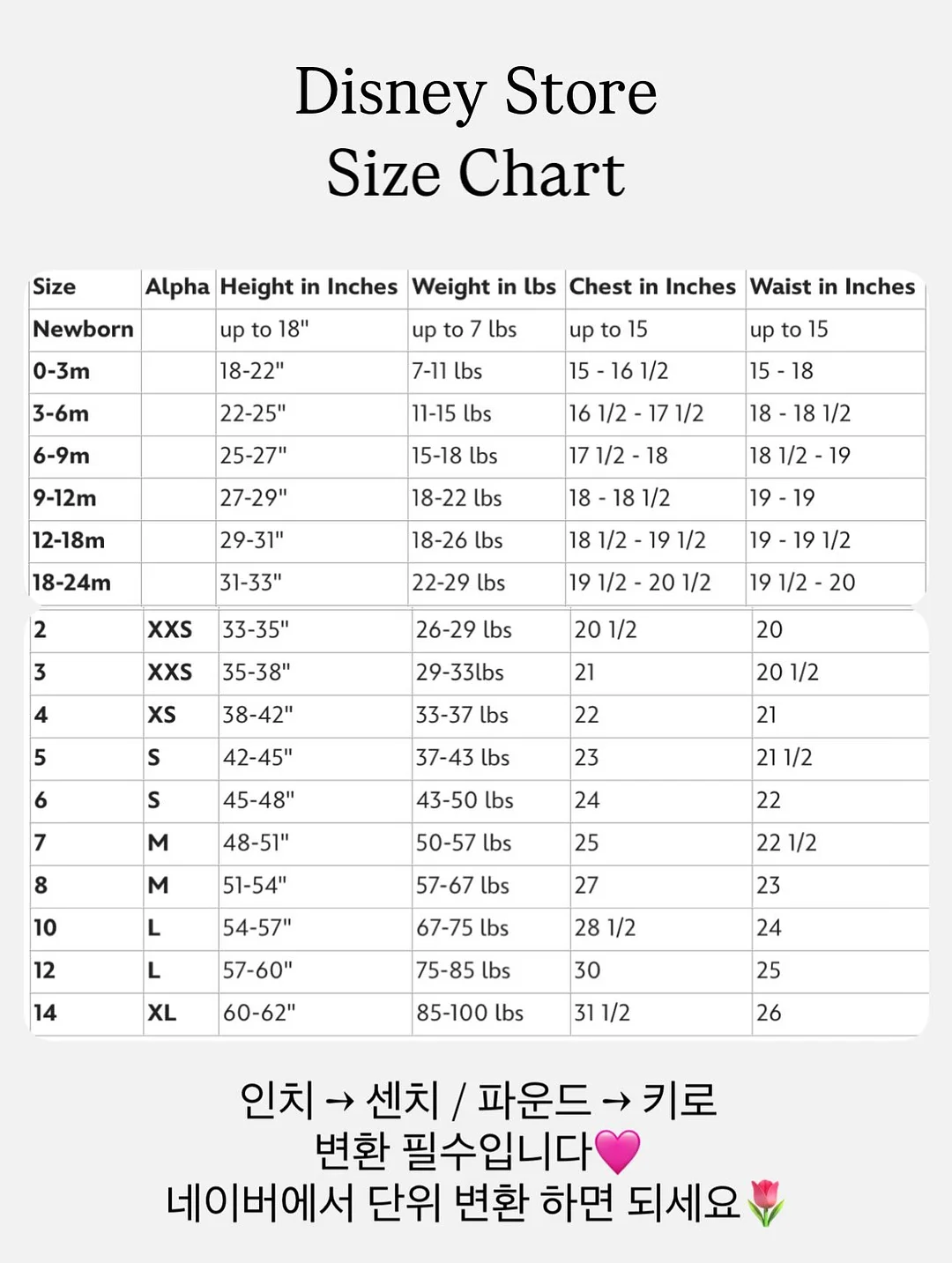 농구대 맥세이프 충전기 13