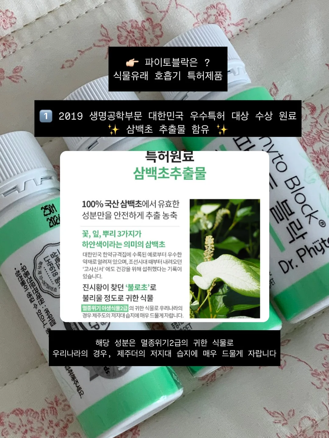 닥터클린톡 14