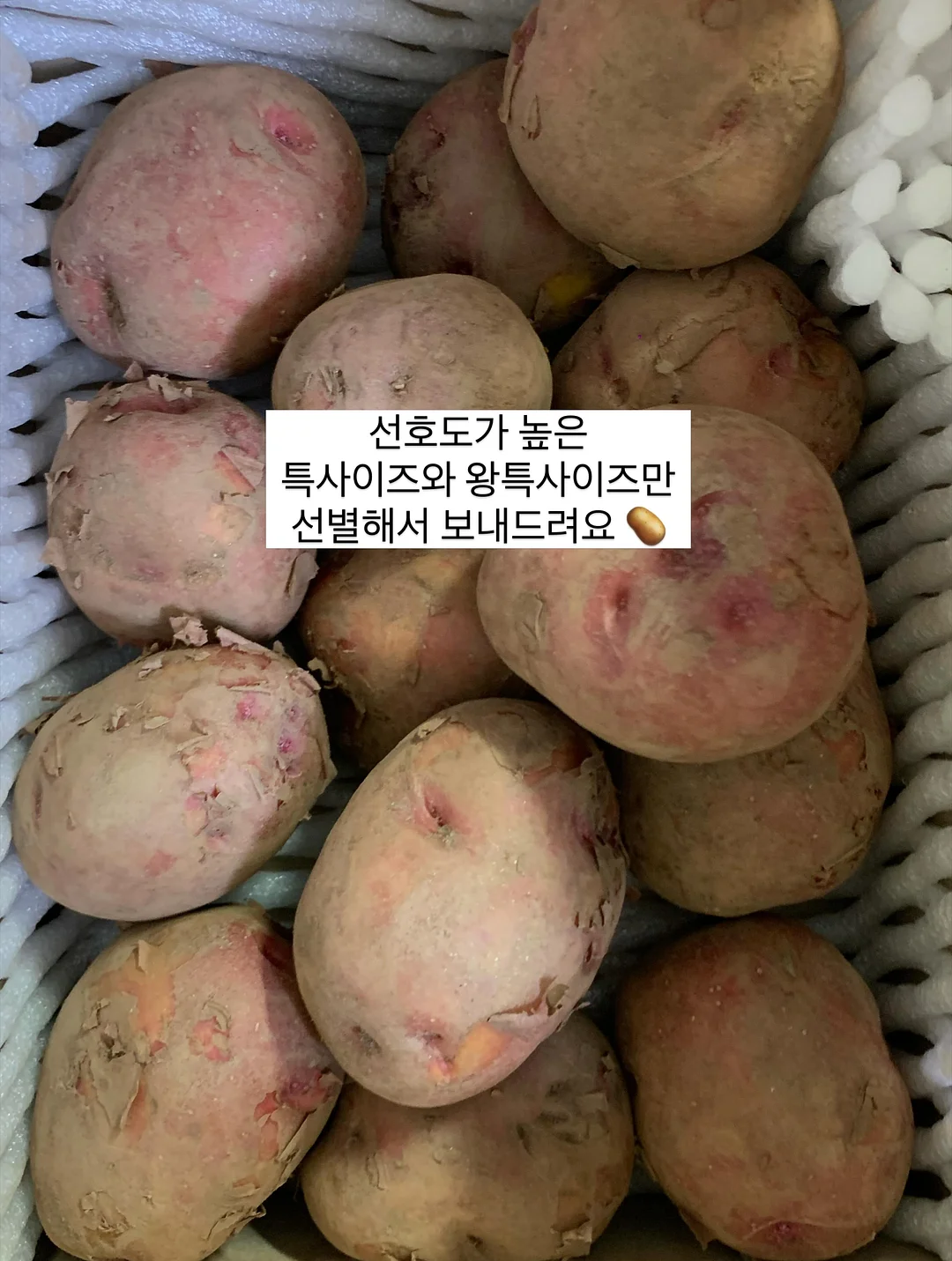 대경문화예술고등학교장배 전국 중고등학생 e스포츠 대회(발로란트) 9